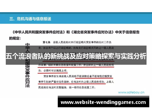 五个流浪者队的新挑战及应对策略探索与实践分析 五个流浪者队的新挑战及应对策略探索与实践分析