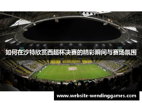 如何在沙特欣赏西超杯决赛的精彩瞬间与赛场氛围 如何在沙特欣赏西超杯决赛的精彩瞬间与赛场氛围