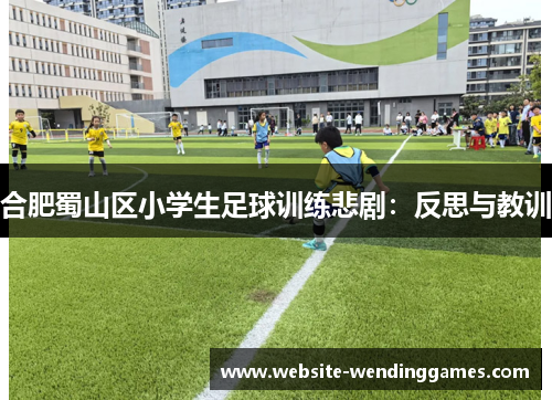 合肥蜀山区小学生足球训练悲剧:反思与教训 合肥蜀山区小学生足球训练悲剧:反思与教训