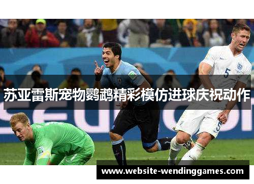 苏亚雷斯宠物鹦鹉精彩模仿进球庆祝动作 苏亚雷斯宠物鹦鹉精彩模仿进球庆祝动作