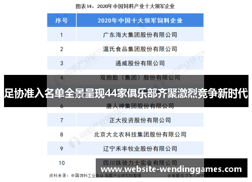 足协准入名单全景呈现44家俱乐部齐聚激烈竞争新时代 足协准入名单全景呈现44家俱乐部齐聚激烈竞争新时代