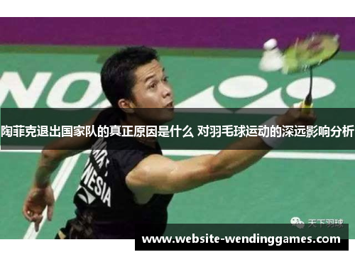 陶菲克退出国家队的真正原因是什么 对羽毛球运动的深远影响分析