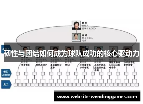 韧性与团结如何成为球队成功的核心驱动力