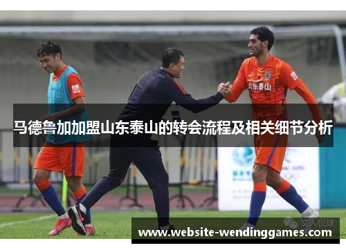 马德鲁加加盟山东泰山的转会流程及相关细节分析