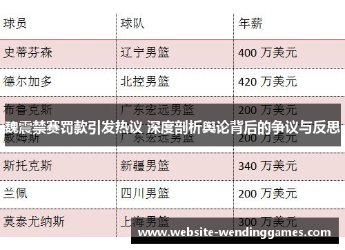 魏震禁赛罚款引发热议 深度剖析舆论背后的争议与反思