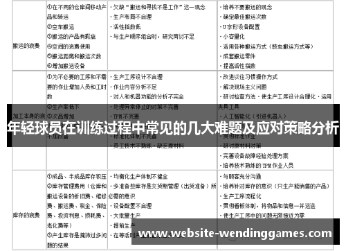 年轻球员在训练过程中常见的几大难题及应对策略分析